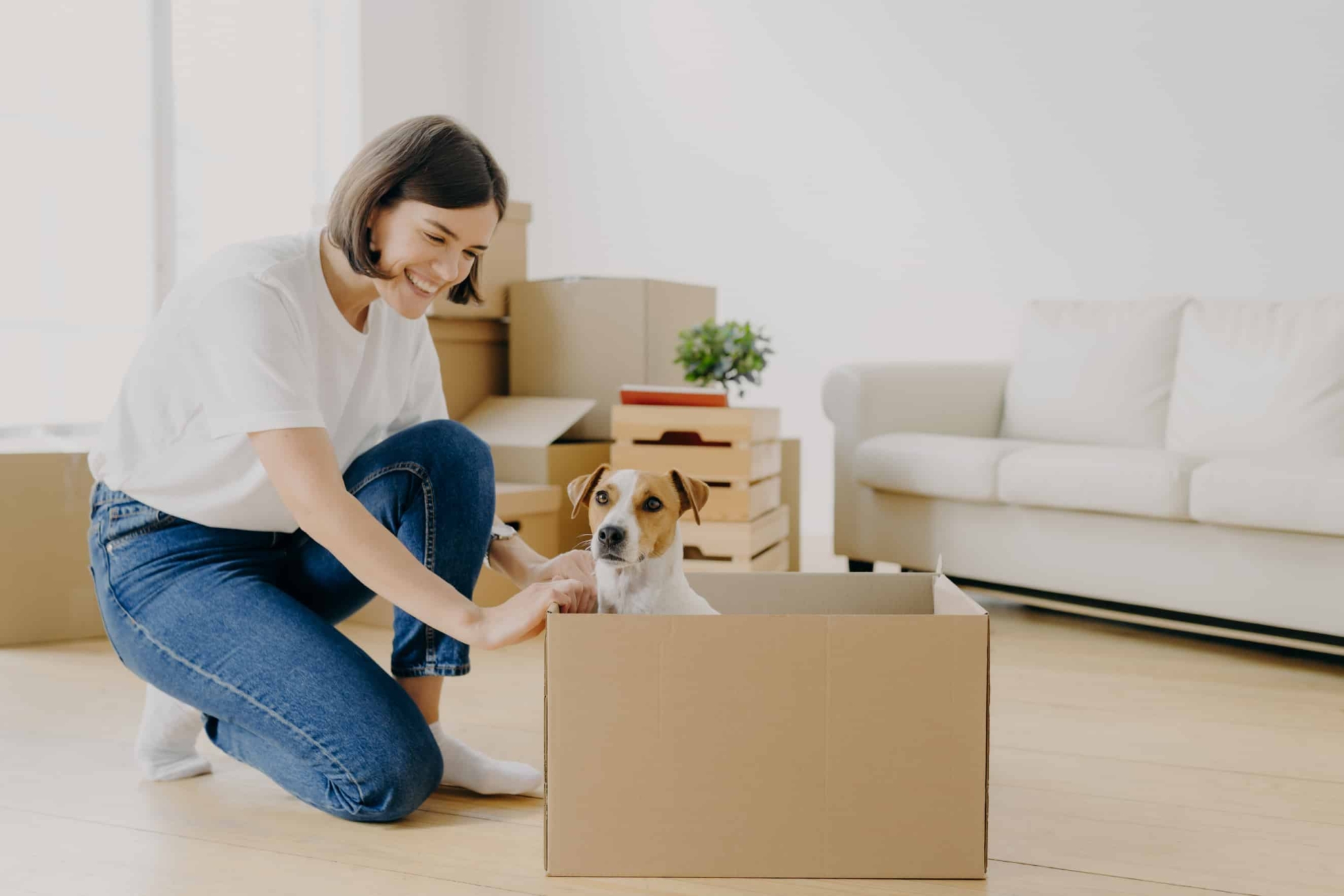 how to plan long distance move